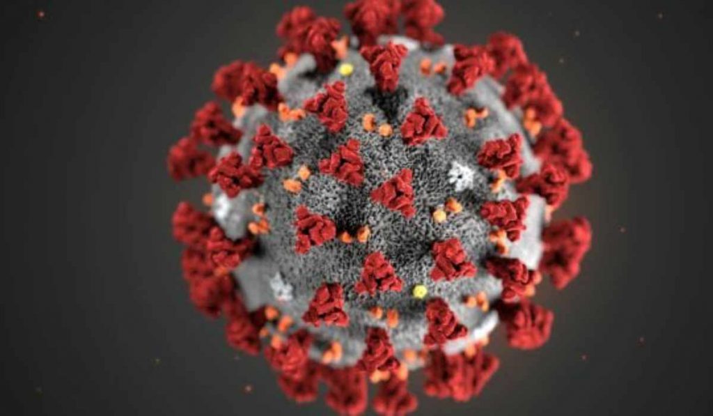 Dottoressa napoletana alla guida dell’equipe che ha isolato il Coronavirus