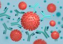 Gli anticorpi monoclonali sono l’altra grande arma contro ilCovid. In Veneto primato di infusioni