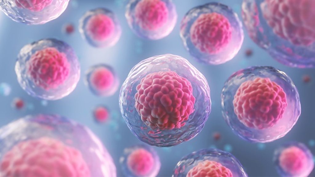 ISF “il SSN non tiene conto dell’evidenza scientifica, è fondamentale una collaborazione tra pubblico e privato per una corretta erogazione del servizio”