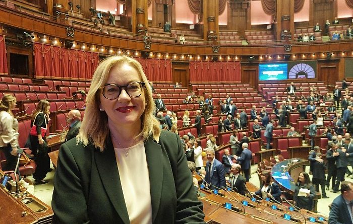 Malavasi (Pd): "Valorizzare oss, calendarizzare proposte di legge"