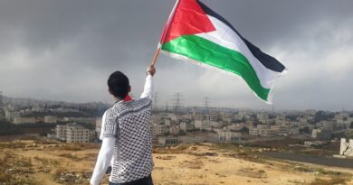 Appello Migep al presidente Mattarella: "L'Italia prenda posizione sul genocidio in Palestina"