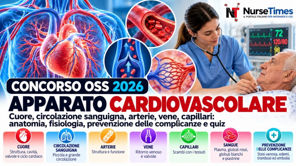 Concorso oss 2026: apparato cardiovascolare, anatomia e quiz