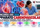 Concorso oss 2026: apparato cardiovascolare, anatomia e quiz