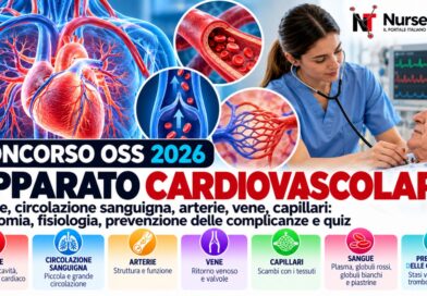 Concorso oss 2026: apparato cardiovascolare, anatomia e quiz