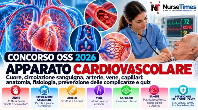 Concorso oss 2026: apparato cardiovascolare, anatomia e quiz