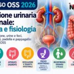 Concorso oss 2026: eliminazione urinaria e intestinale, anatomia e fisiologia