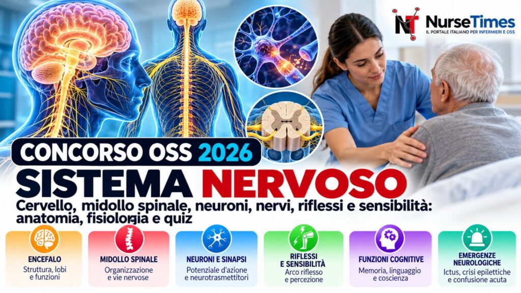 Concorso oss 2026: sistema nervoso, anatomia, fisiologia e quiz