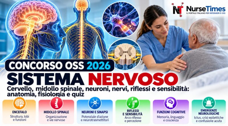 Concorso oss 2026: sistema nervoso, anatomia, fisiologia e quiz